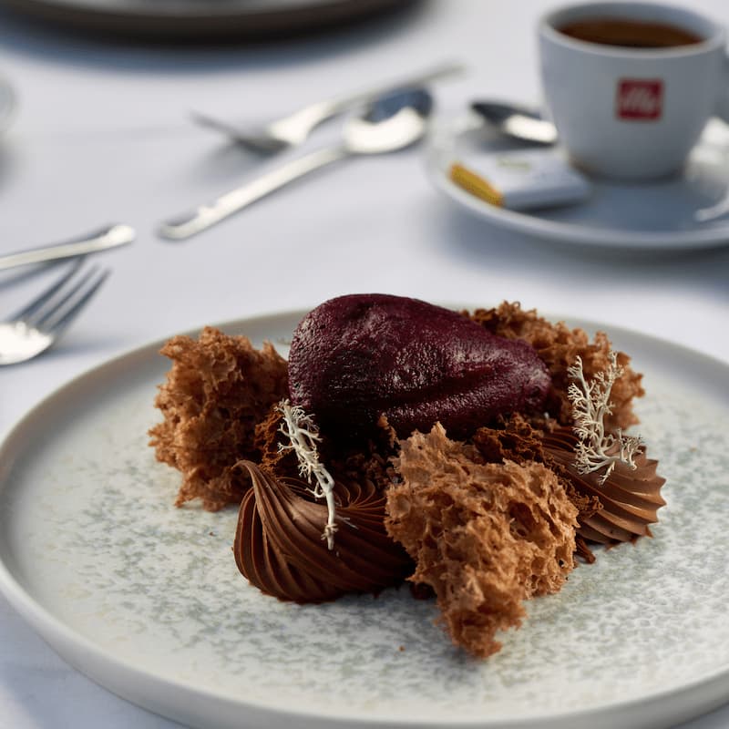 Chocolate mousse with ganache and blueberry sorbet